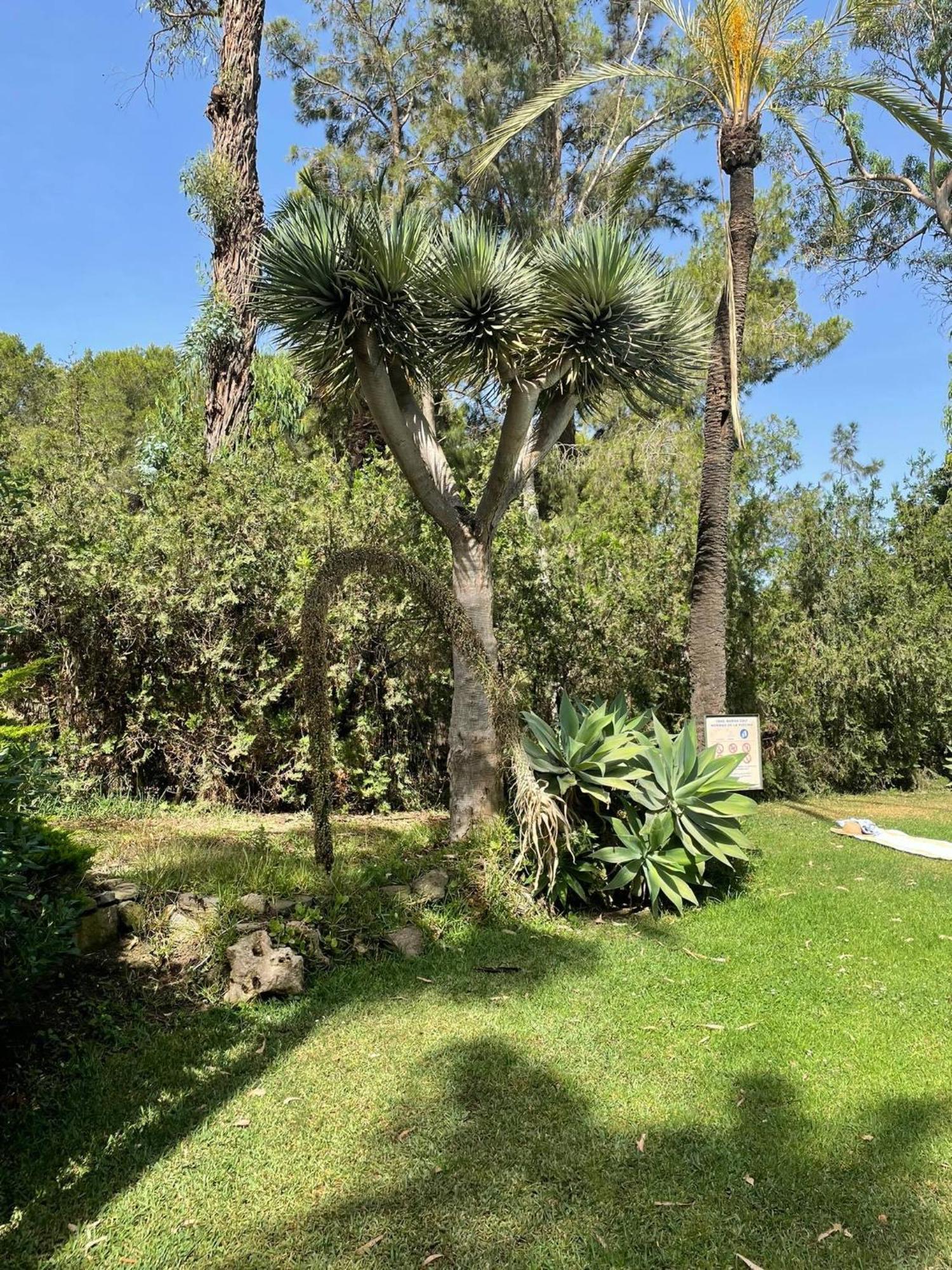 Klimatyczny Loft I Egzotyczny Basen Appartement Benalmádena Buitenkant foto